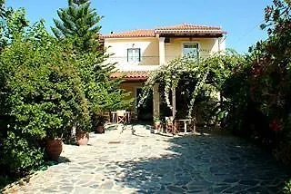Andreolas 2* Tsilivi (Zakynthos)